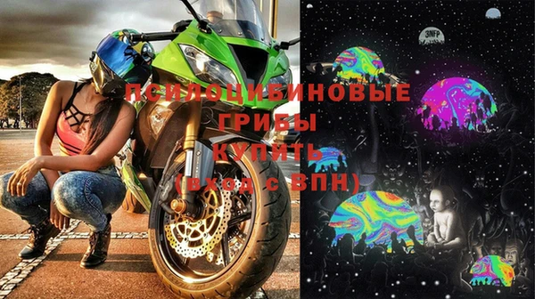 соль ск Шали