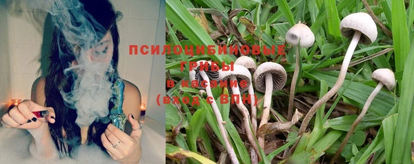 соль курить ск Костерёво
