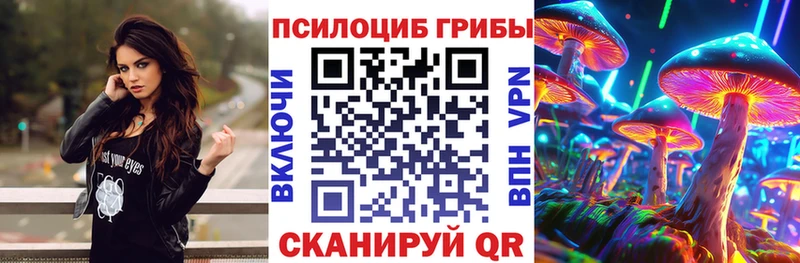 Купить  Истра  Галлюциногенные грибы Psilocybine cubensis 